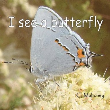 bokomslag I see a butterfly: at the Rancho Santa Ana Botanical Gardens
