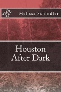 bokomslag Houston After Dark