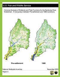 bokomslag Historical Analysis of Wetlands and Their Functions For the Nanticoke River Watershed: A Comparison between Pre-settlement and 1998 Conditions