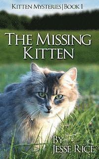 bokomslag The Missing Kitten