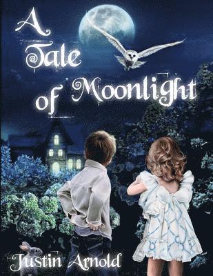 bokomslag A Tale Of Moonlight