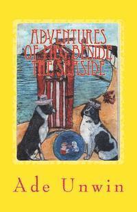 bokomslag Adventures of Meg Beside the Seaside