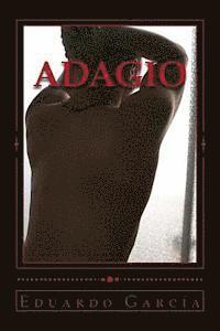 bokomslag Adagio: Novela