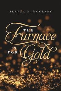 bokomslag The Furnace is for Gold