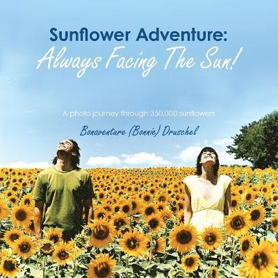 Sunflower Adventure 1