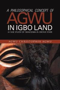 bokomslag A Philosophical Concept of Agwu in Igbo Land