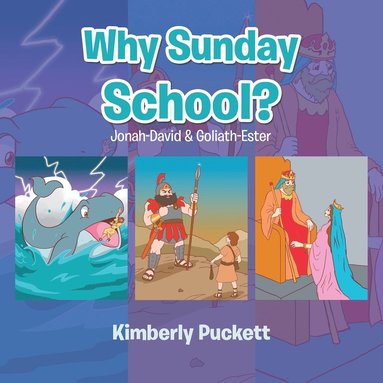 bokomslag Why Sunday School?