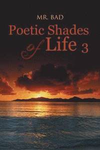 bokomslag Poetic Shades of Life 3