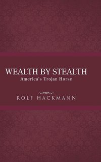 bokomslag Wealth by Stealth