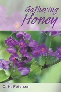 bokomslag Gathering Honey