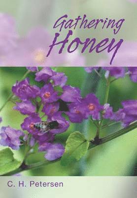bokomslag Gathering Honey