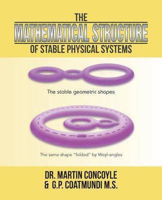 bokomslag Mathematical Structure of Stable Physical Systems