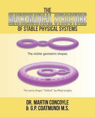 bokomslag The Mathematical Structure of Stable Physical Systems