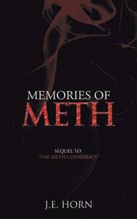 bokomslag Memories of Meth