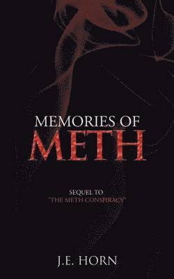 bokomslag Memories of Meth