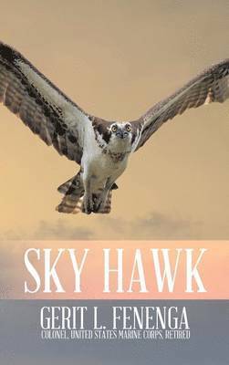 bokomslag Sky Hawk