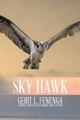 bokomslag Sky Hawk