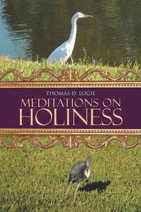 bokomslag Meditations on Holiness