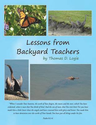 bokomslag Lessons from Backyard Teachers