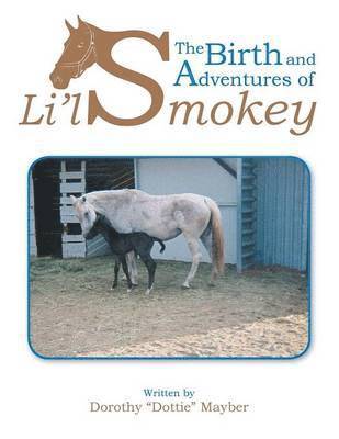 bokomslag The Birth and Adventures of Lil Smokey