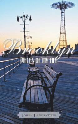 bokomslag Brooklyn Pieces of My Life
