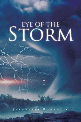 bokomslag Eye of the Storm