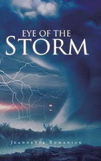 bokomslag Eye of the Storm