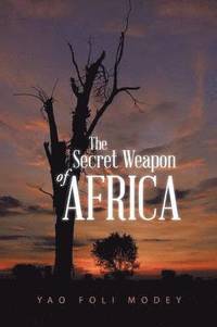 bokomslag Secret Weapon of Africa
