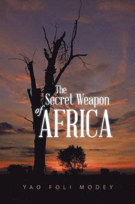 bokomslag Secret Weapon of Africa