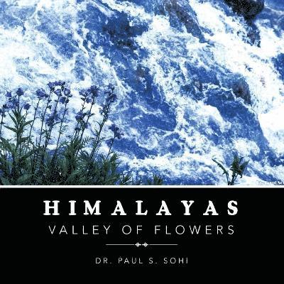 Paul S Sohi, Paul S. Sohi, Dr. Paul S. Sohi - Himalayas, Häftad