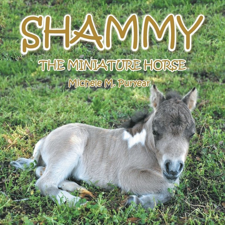 Shammy 1