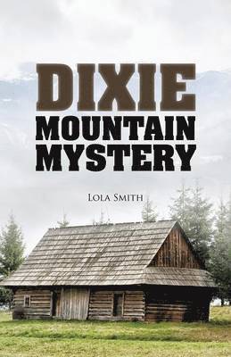 bokomslag Dixie Mountain Mystery