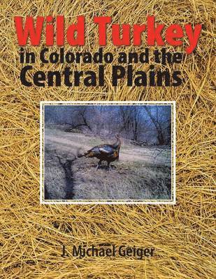 Wild Turkey in Colorado and the Central Plains 1