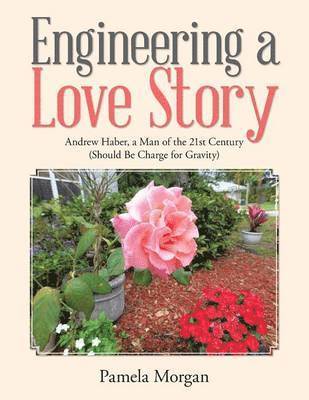 Engineering a Love Story 1