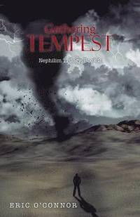 bokomslag Gathering Tempest