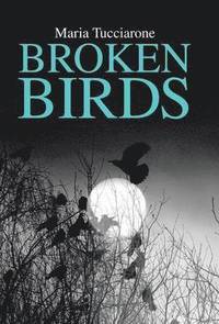 bokomslag Broken Birds