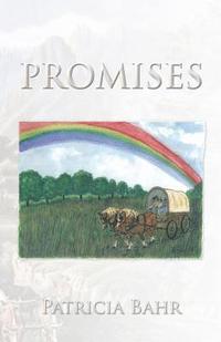 bokomslag Promises