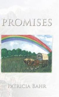 bokomslag Promises