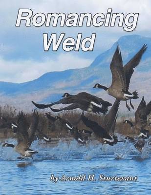 Romancing Weld 1