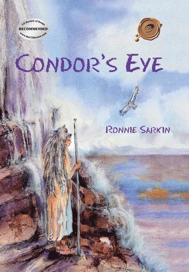 bokomslag Condor's Eye