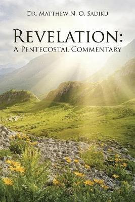 bokomslag Revelation