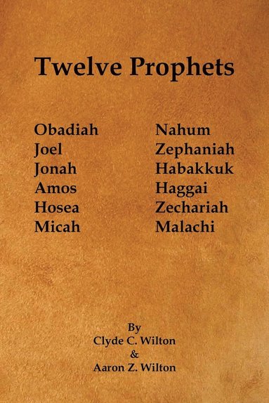 bokomslag Twelve Prophets