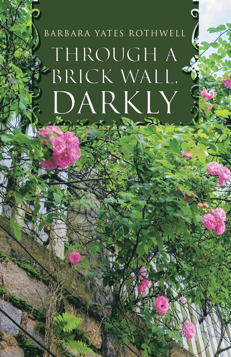 Through a Brick Wall, Darkly 1