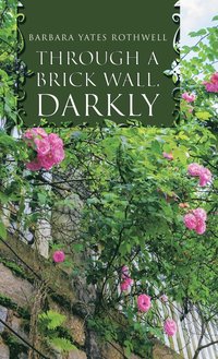 bokomslag Through a Brick Wall, Darkly