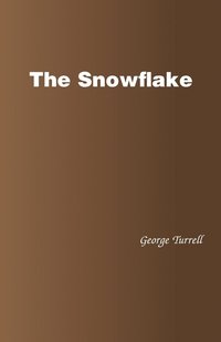 bokomslag The Snowflake