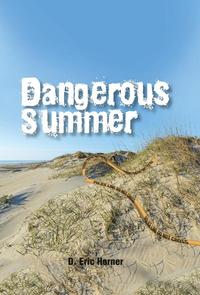 bokomslag Dangerous Summer