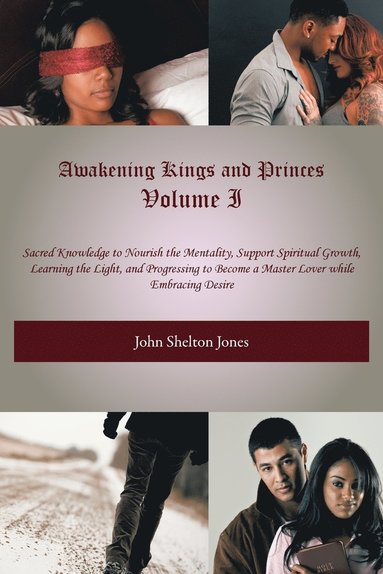 bokomslag Awakening Kings and Princes Volume I