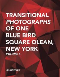 bokomslag Transitional Photographs of One Blue Bird Square Olean, New York