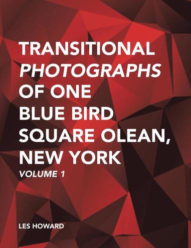 bokomslag Transitional Photographs of One Blue Bird Square Olean, New York