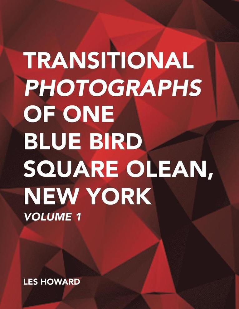 Transitional Photographs of One Blue Bird Square Olean, New York 1
